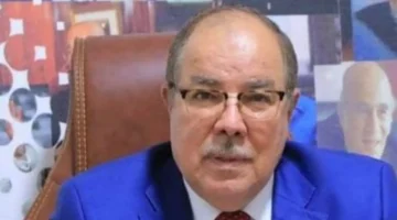 توازن إقليمي.. برلماني يكشف كواليس تقارب مصر وتركيا لمواجهة أزمات المنطقة